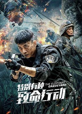 决战燕子门电视剧全集影视海报