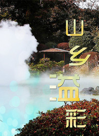 手机sss在线视频华人影视海报