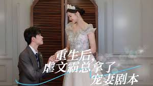超级赛亚人8影视海报